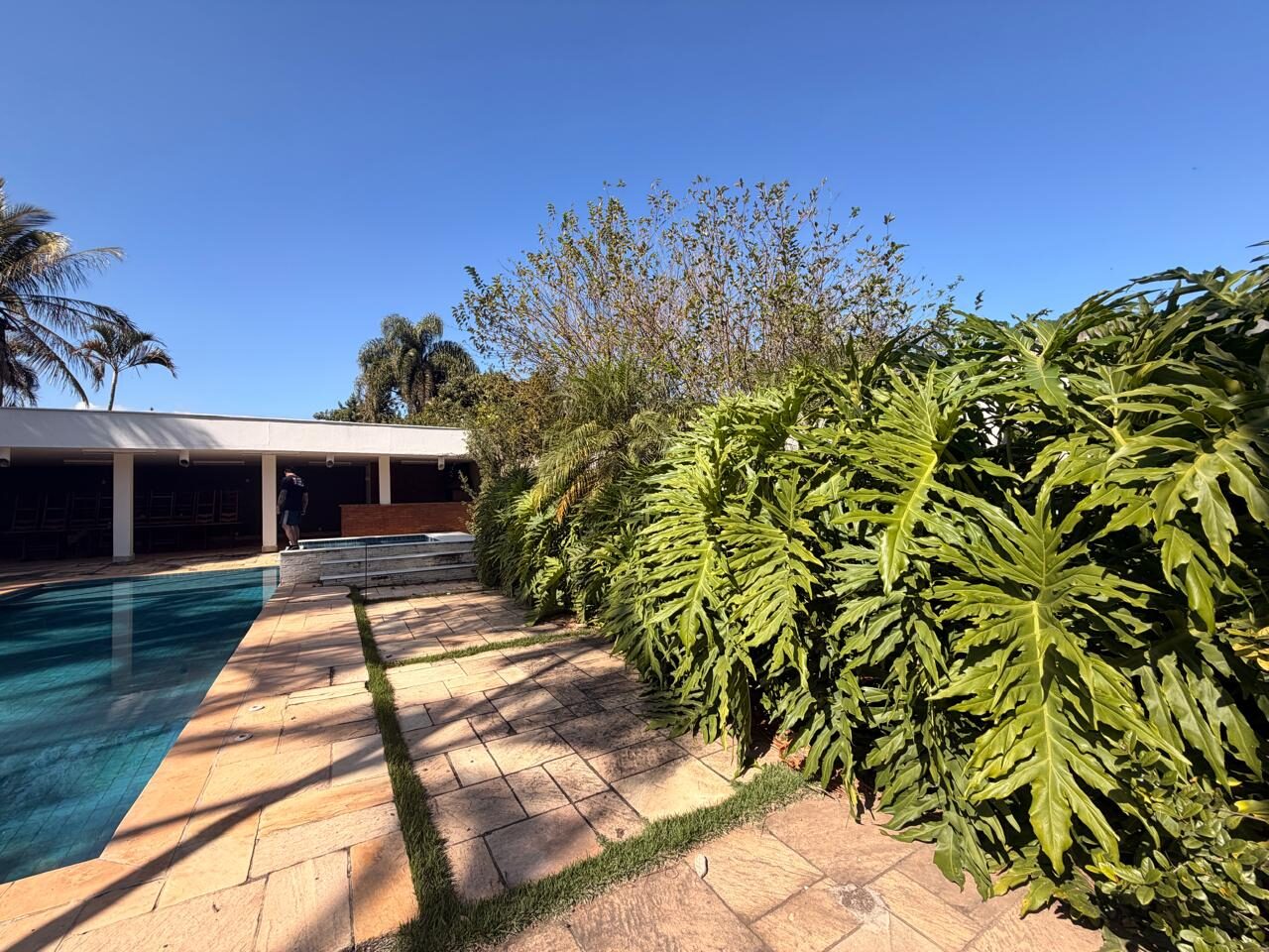 Jardim